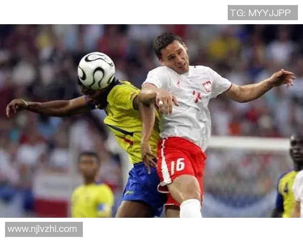 世界杯伊朗对决韩国激战在即双方球迷热情高涨期待精彩对抗