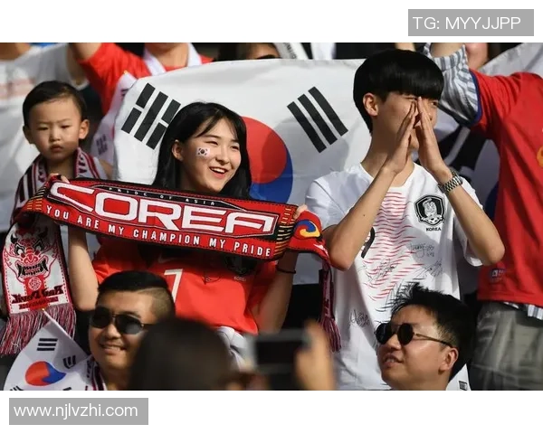 北爱尔兰与韩国足球对决精彩回顾与赛后分析